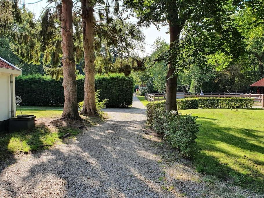 Midden In De Friese Bossen Op Landgoed Princenhof Oranjewoud Exterior photo