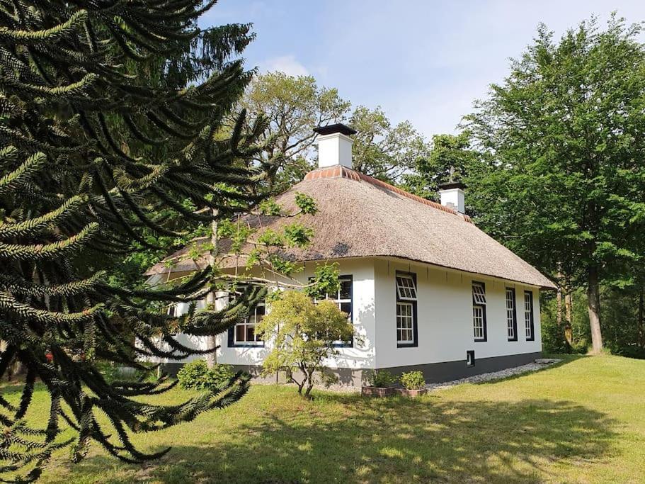 Midden In De Friese Bossen Op Landgoed Princenhof Oranjewoud Exterior photo