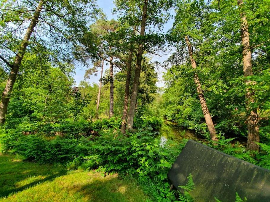 Midden In De Friese Bossen Op Landgoed Princenhof Oranjewoud Exterior photo