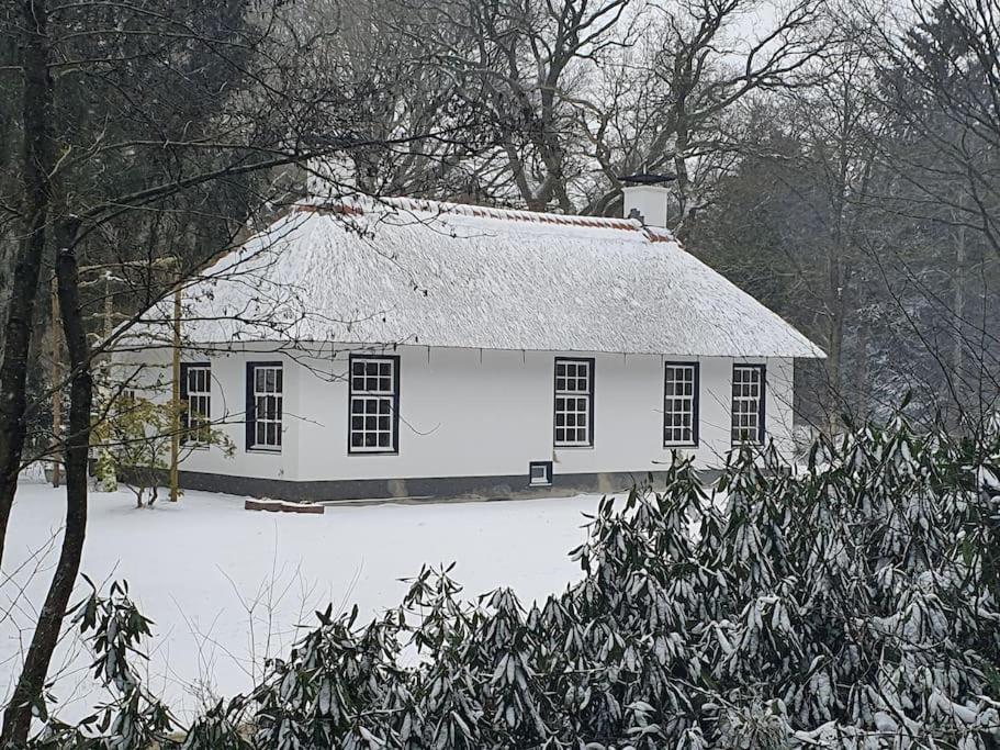 Midden In De Friese Bossen Op Landgoed Princenhof Oranjewoud Exterior photo