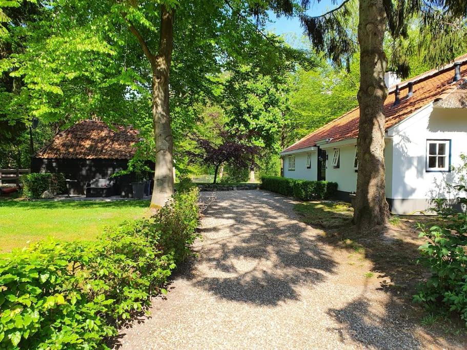Midden In De Friese Bossen Op Landgoed Princenhof Oranjewoud Exterior photo